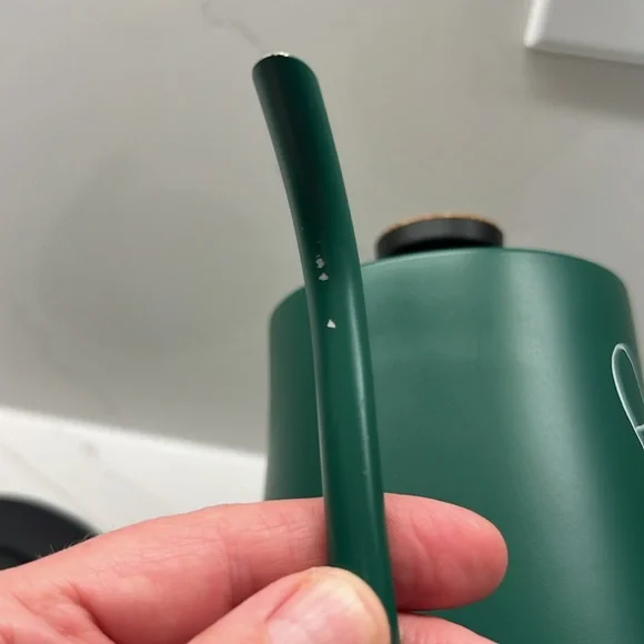 Rae Dunn green electric tea kettle